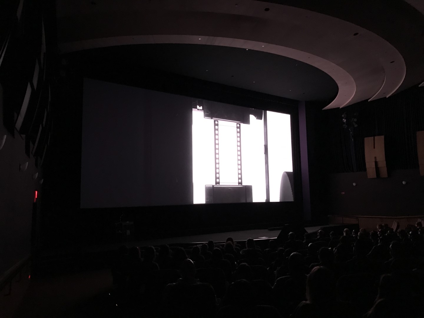 Audience watching a film in a dimly lit theater with a large projection screen.